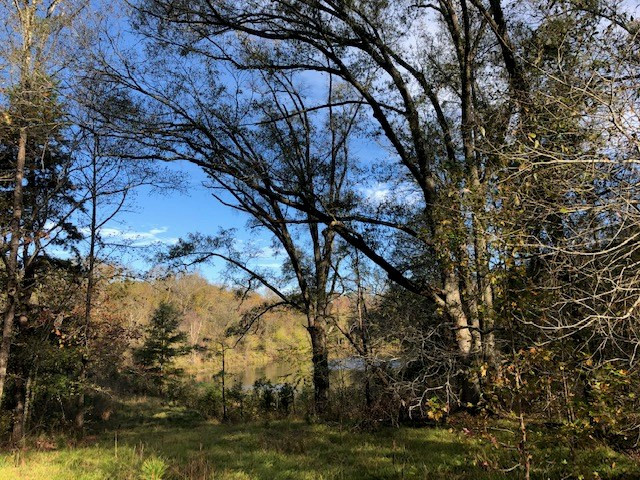 0 Gilpin Road Thomson, GA 30824 - Photo 3 of 10
