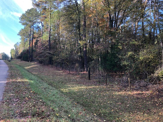 0 Gilpin Road Thomson, GA 30824 - Photo 9 of 10