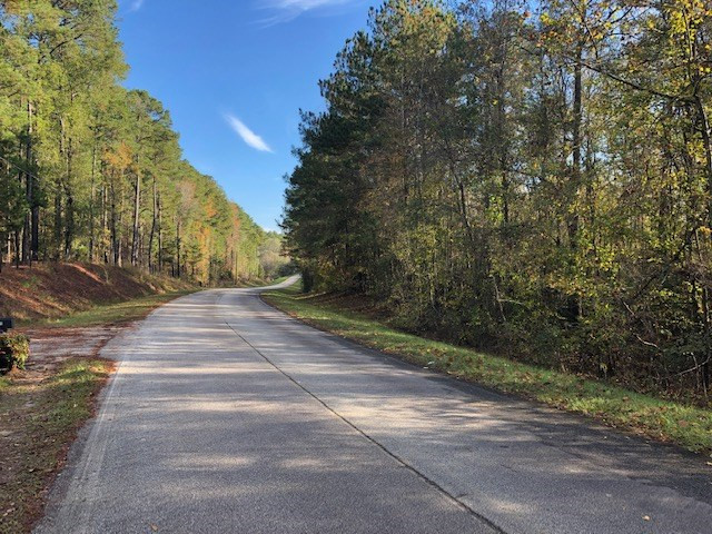 0 Gilpin Road Thomson, GA 30824 - Photo 10 of 10