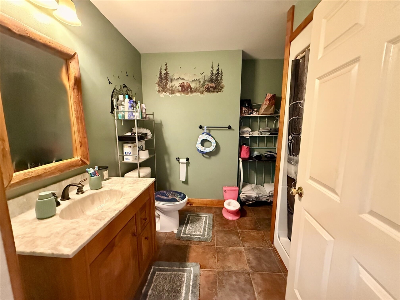 8565 Mt Hope Road Carson City, MI 48811 - Photo 17 of 36 Gallery Image 17
