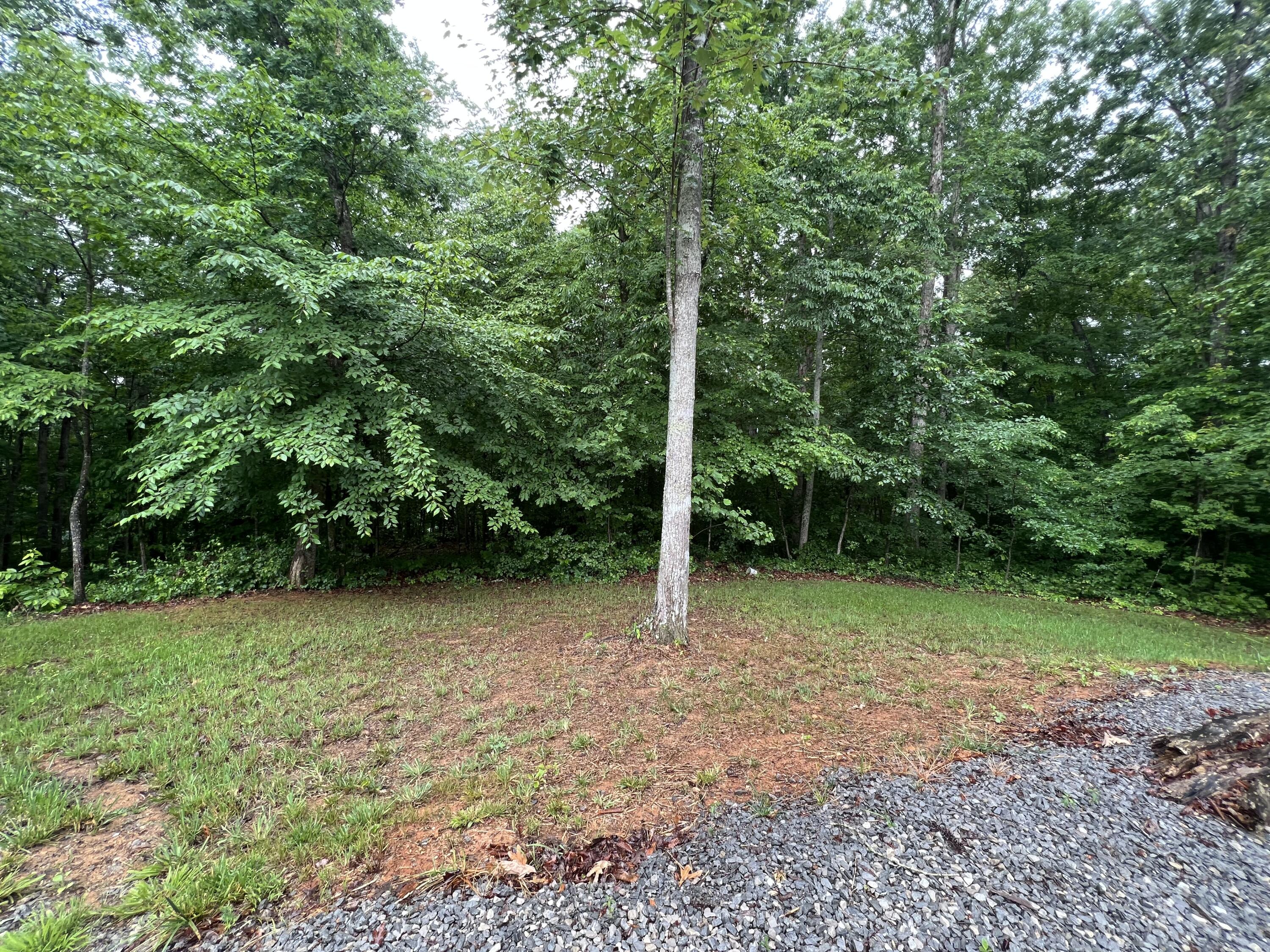 6 Pine Tree Road Nancy, KY 42544 - Photo 27 of 28 IMG_0027