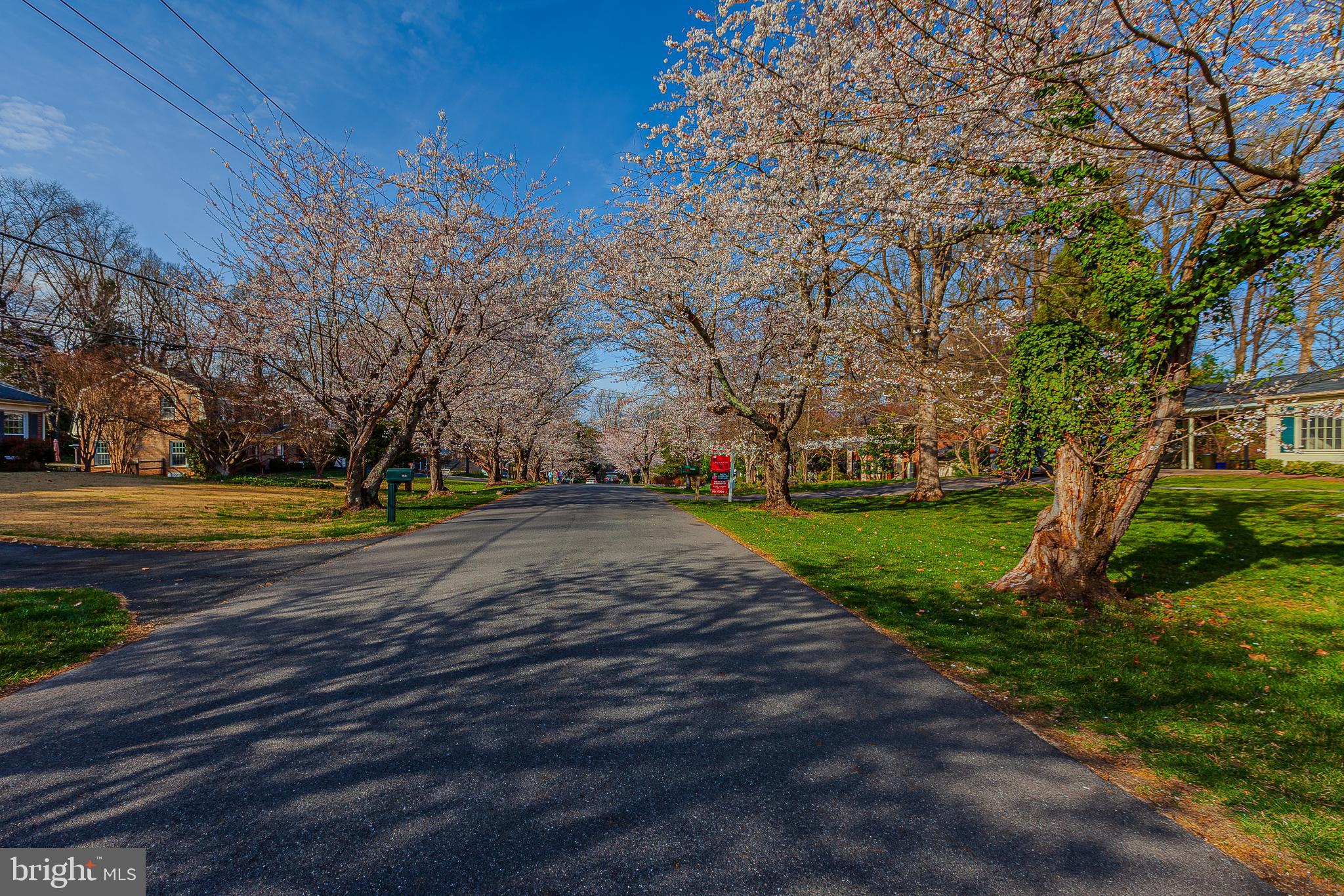 12632 St James Road Rockville, MD 20850 - Photo 44 of 51 Gallery Image 44