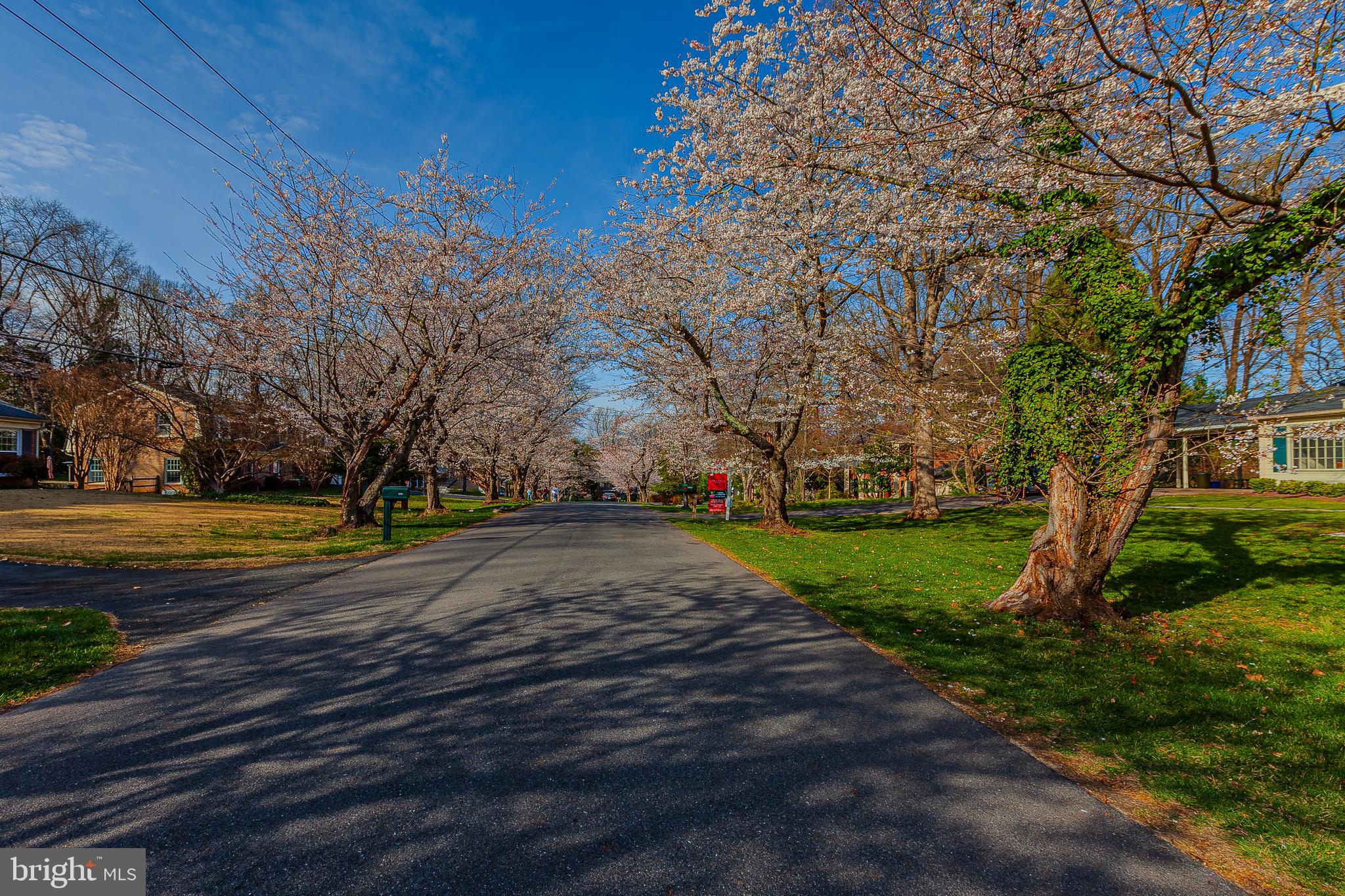 12632 St James Road Rockville, MD 20850 - Photo 46 of 51 Gallery Image 46