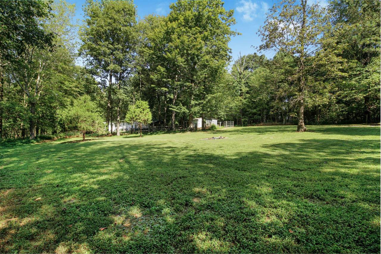 1285 Maxey Knob Road Canmer, KY 42722 - Photo 9 of 32 Gallery Image 9