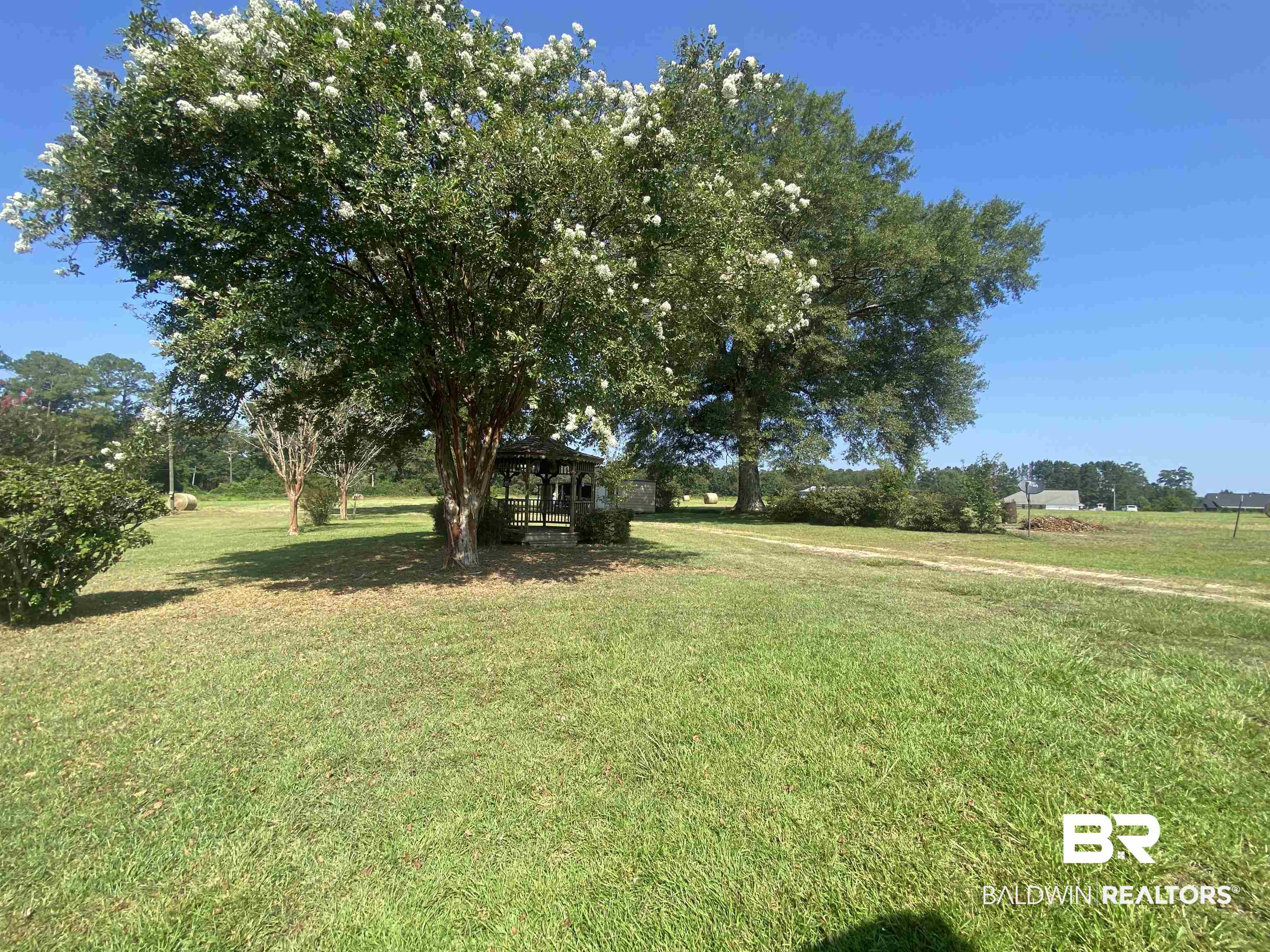 531 Highway 136 Monroeville, AL 36460 - Photo 44 of 48
