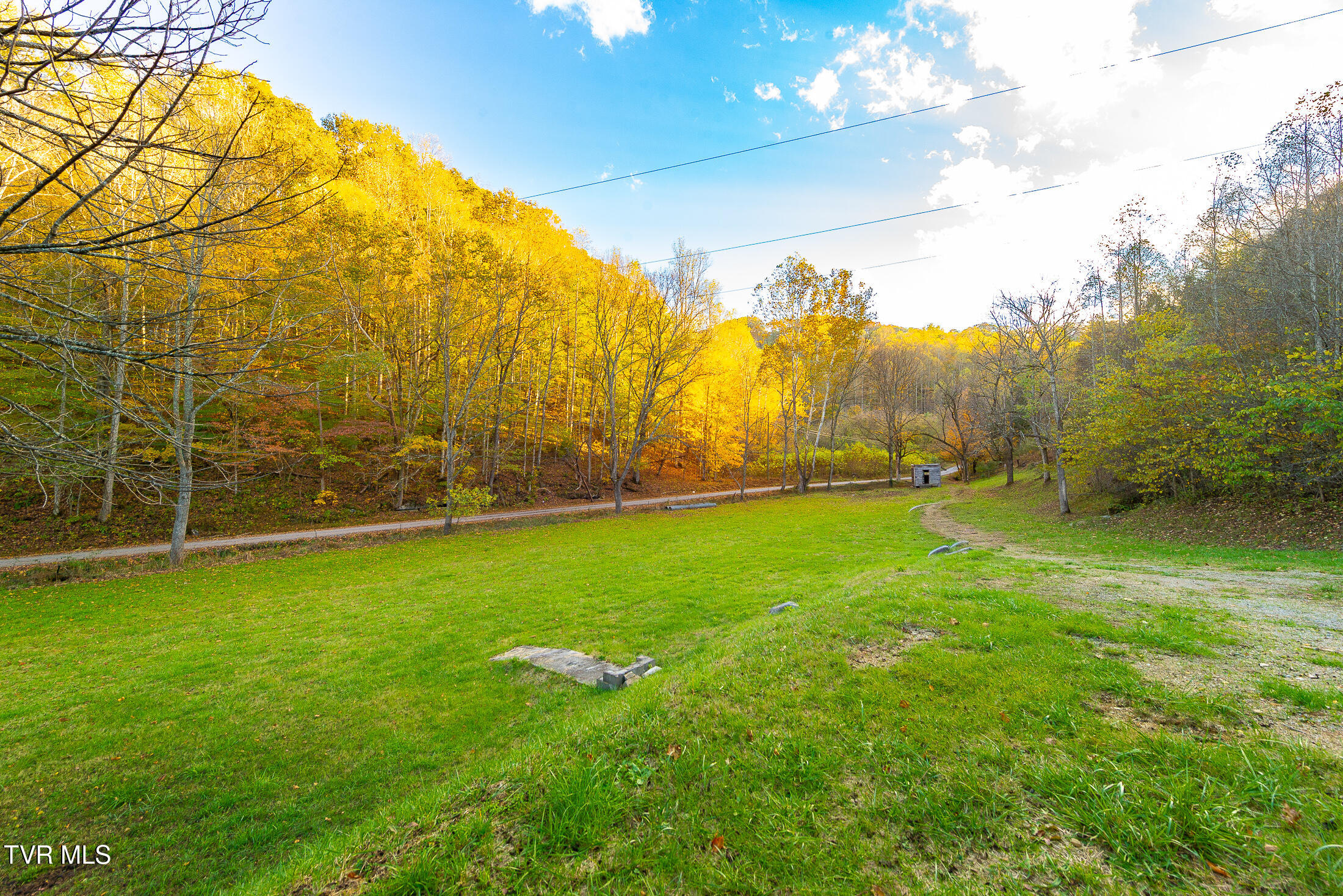 1668 Fowlers Br Road Hiltons, VA 24258 - Photo 6 of 37 acreage