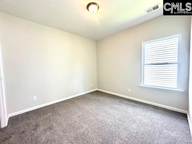 318 Carson Court Lexington, SC 29073 - Photo 14 of 15