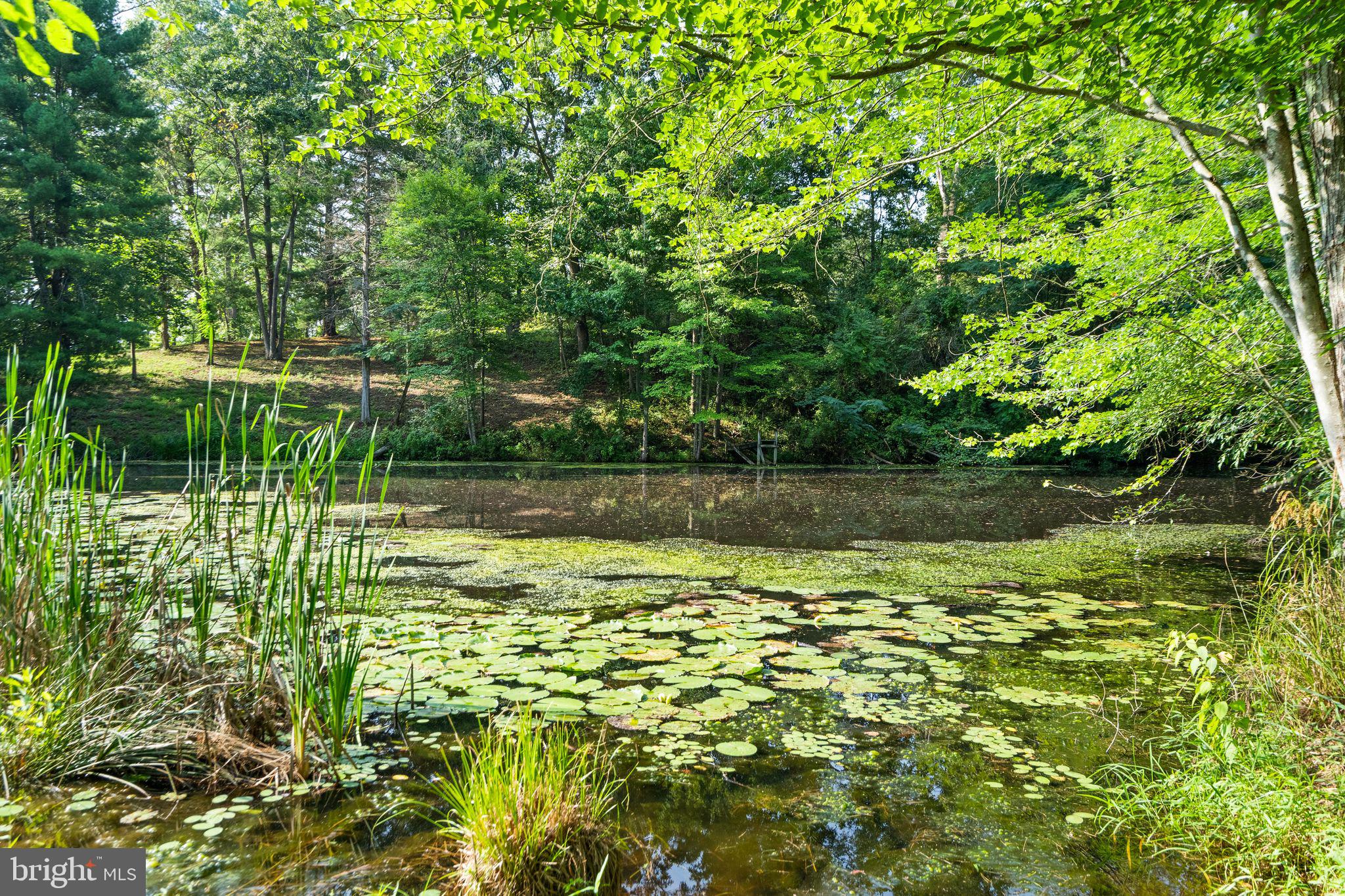 9689 Conde Road Marshall, VA 20115 - Photo 87 of 97 Gallery Image 87