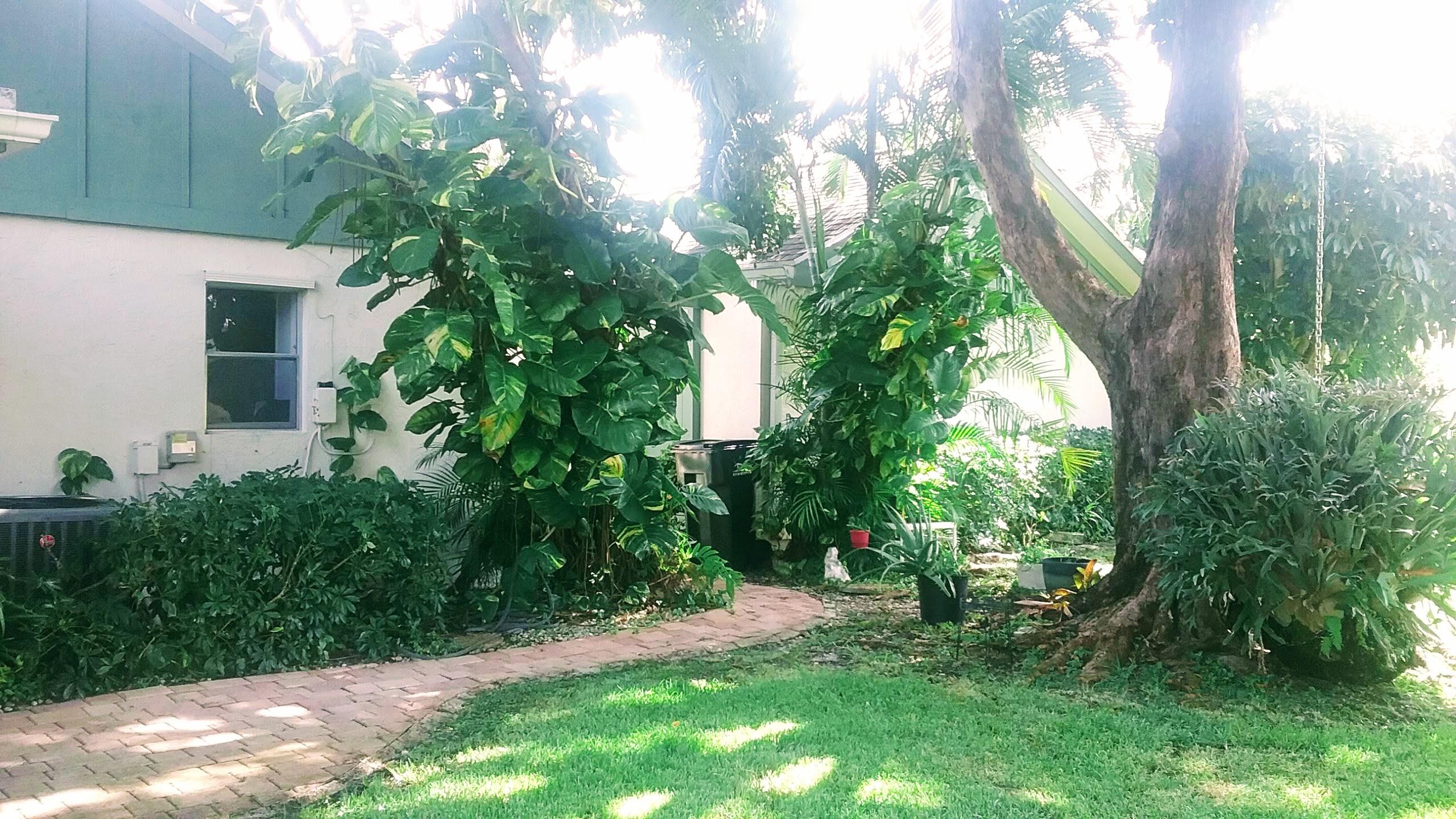 1017 Northwest 37th Avenue Delray Beach, FL 33445 - Photo 17 of 17 Backyard stag