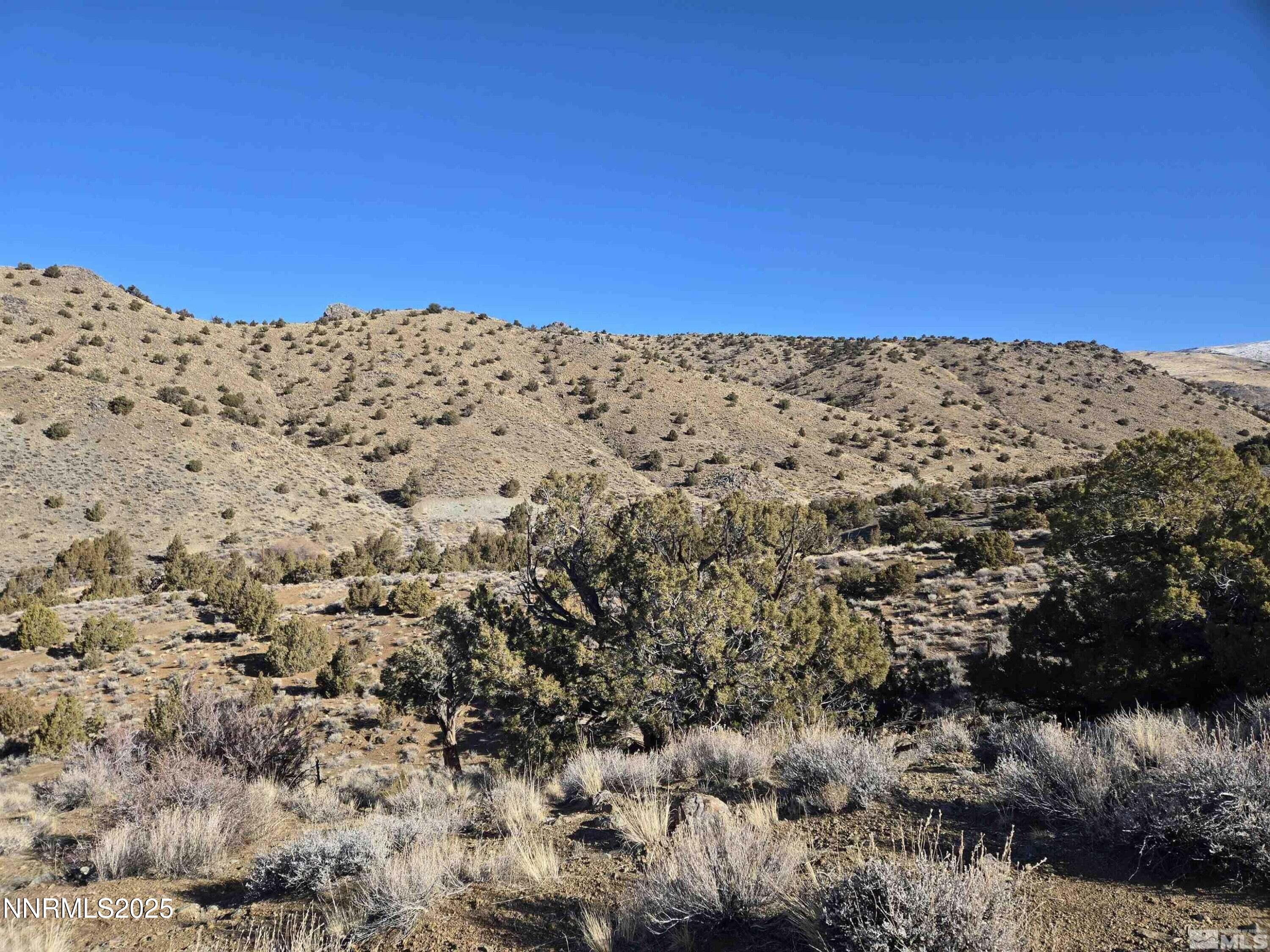 5150 Twin Springs Road Reno, NV 89510 - Photo 10 of 15 a view of a snow on a mountain