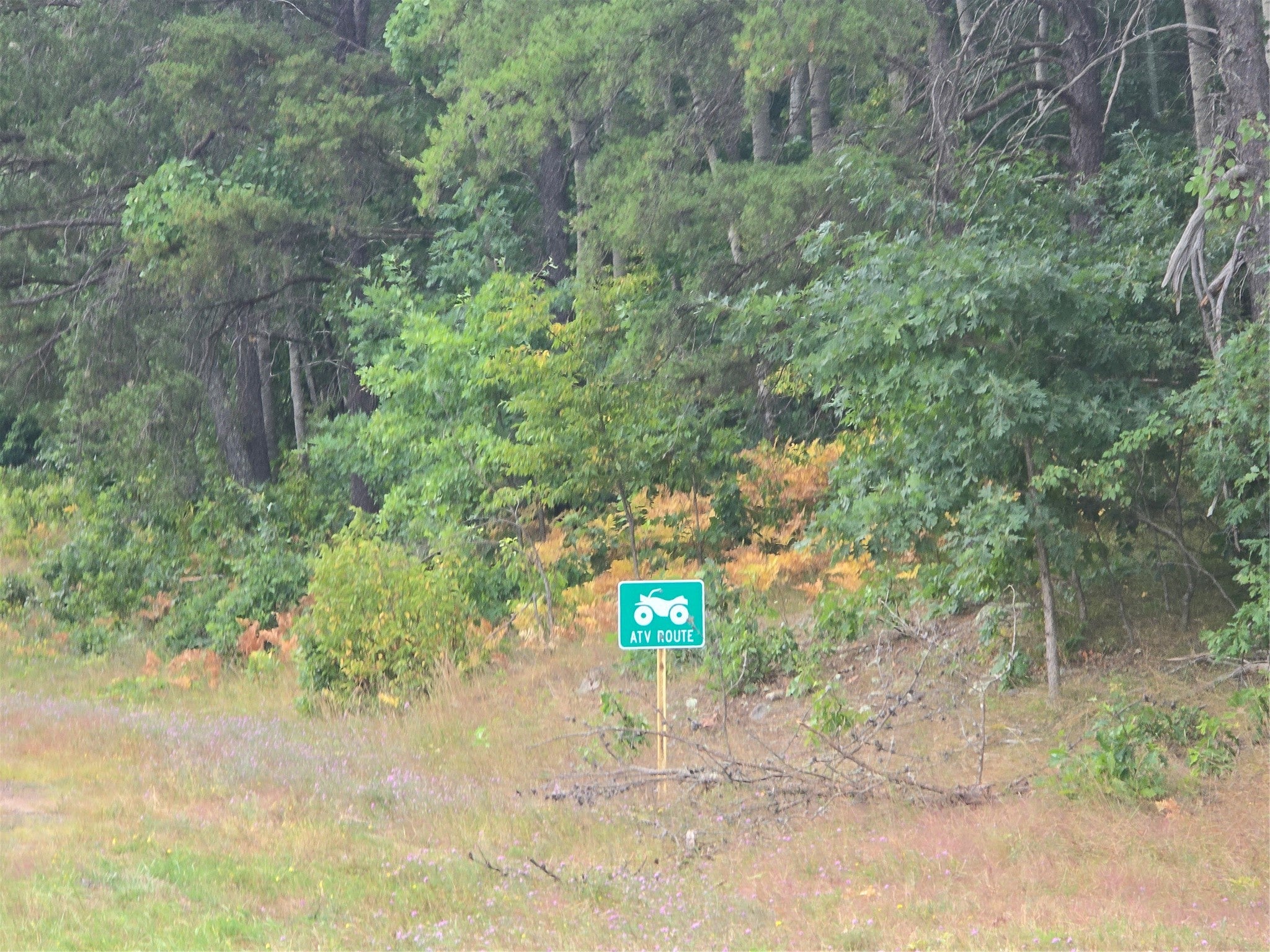 0 County Highway Springbrook, WI 54875 - Photo 2 of 7 Gallery Image 2