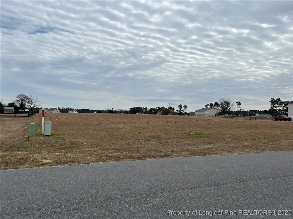 284 Rocking Horse Lane Raeford, NC 28376 - Photo 1 of 6