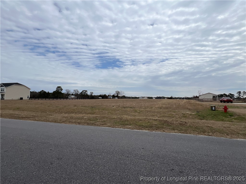 284 Rocking Horse Lane Raeford, NC 28376 - Photo 3 of 6