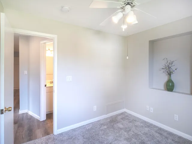 a big yard with large trees