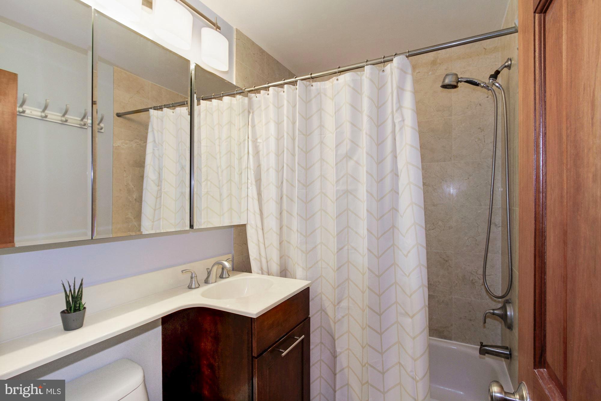 8618 Manchester Road, Unit 1 Silver Spring, MD 20901 - Photo 19 of 22 Full Bathroom