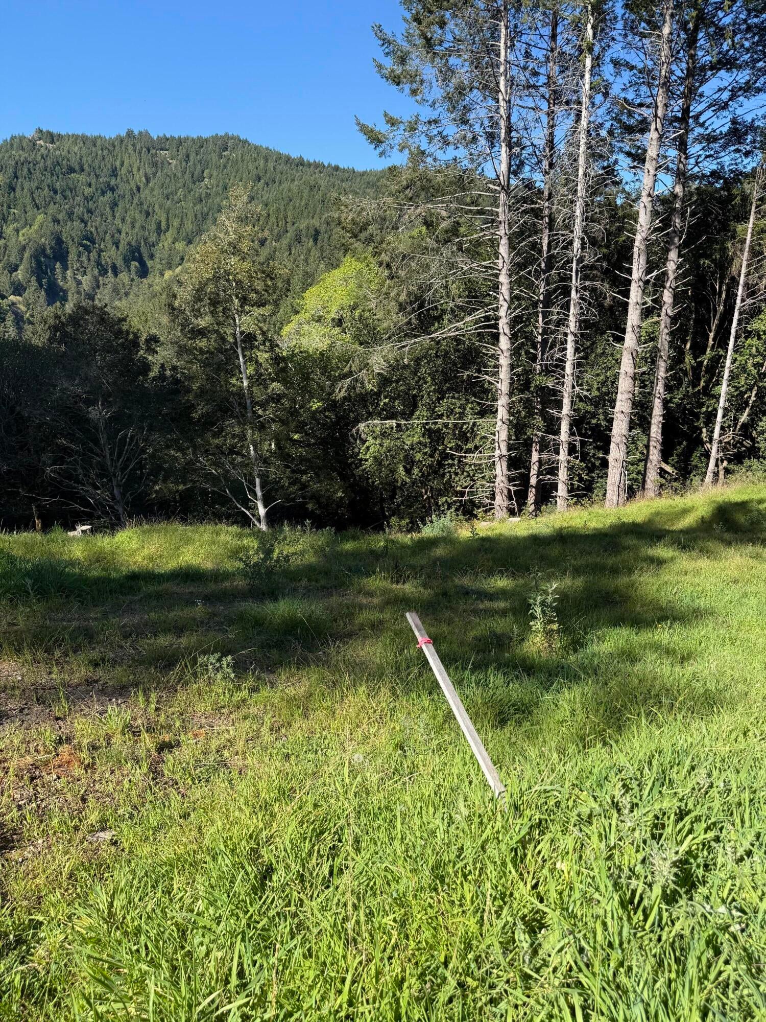 197-207 Ridge Road Shelter Cove, CA 95589 - Photo 8 of 8 Gallery Image 8