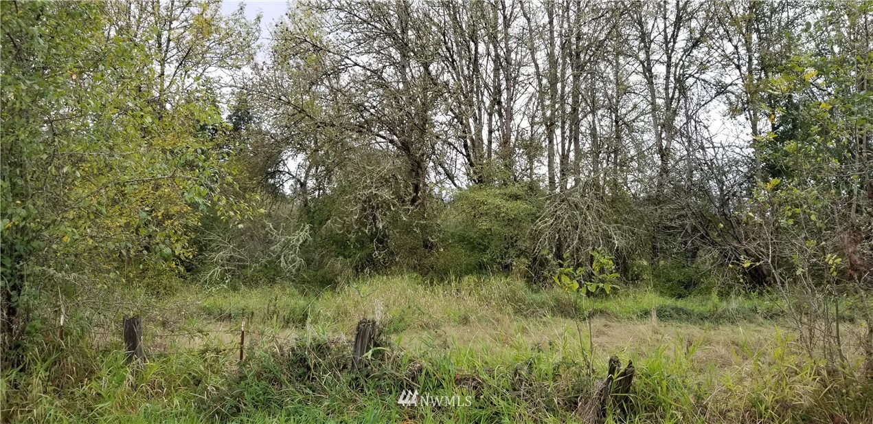 241 Walker Road Toledo, WA 98591 - Photo 3 of 4