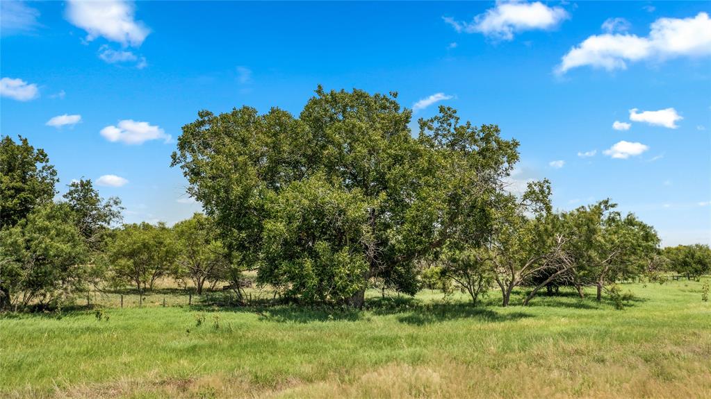 1 Fm 604 Road Clyde, TX 79510 - Photo 29 of 32 Gallery Image 29