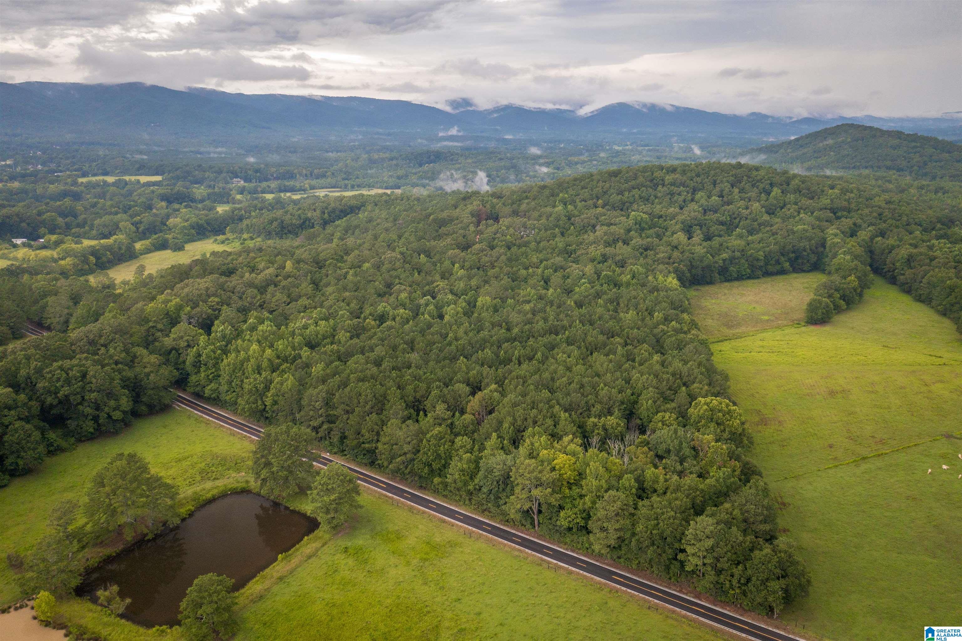 0 Iron City Cutoff Road, Unit 4 Anniston, AL 36207 - Photo 7 of 19