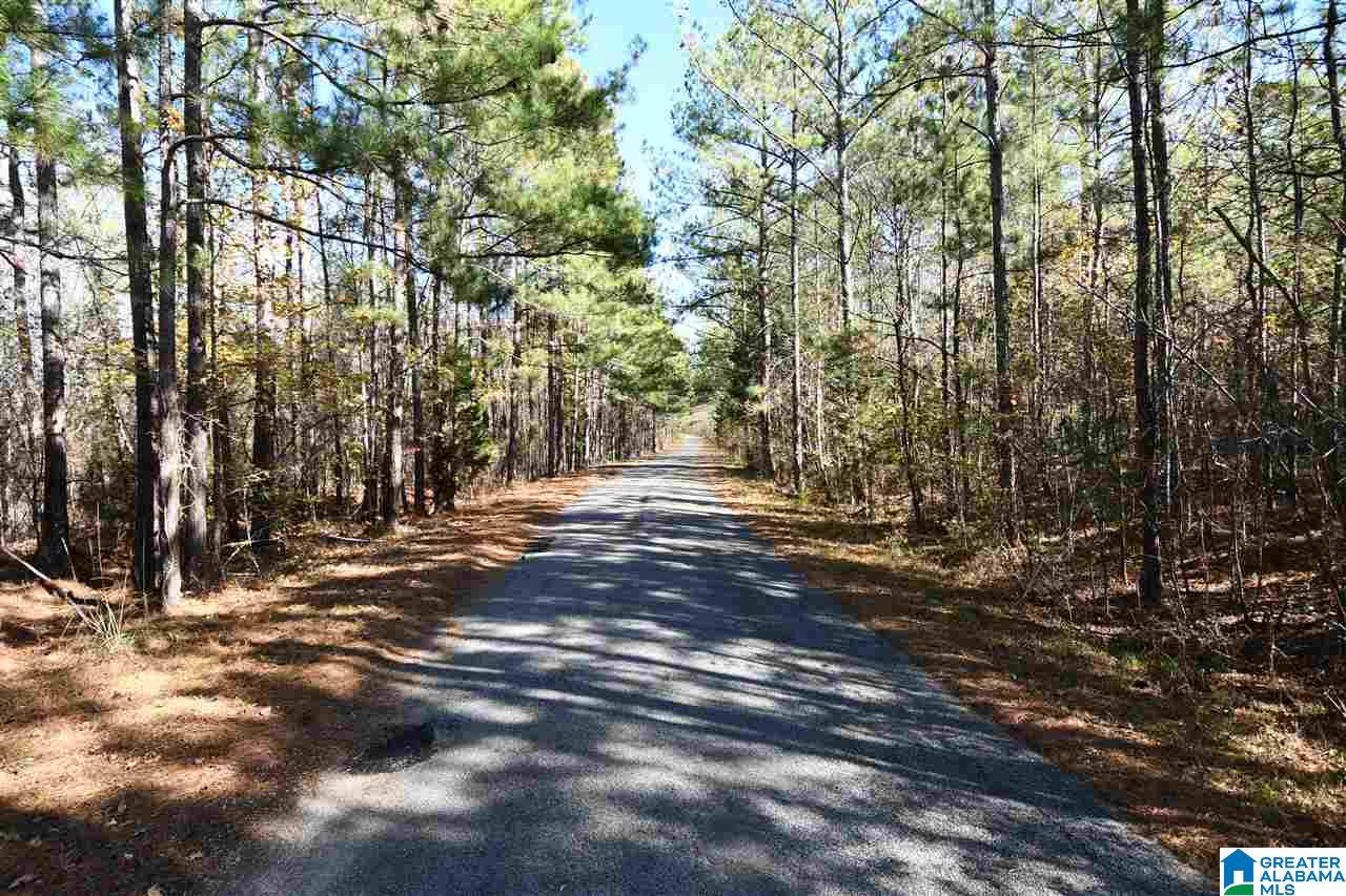1745 King Mountain Road Gadsden, AL 35901 - Photo 3 of 50