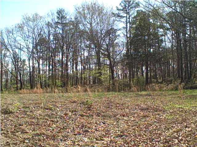 8218 Mitchell Mill Road Ooltewah, TN 37363 - Photo 1 of 1 Primary Photo