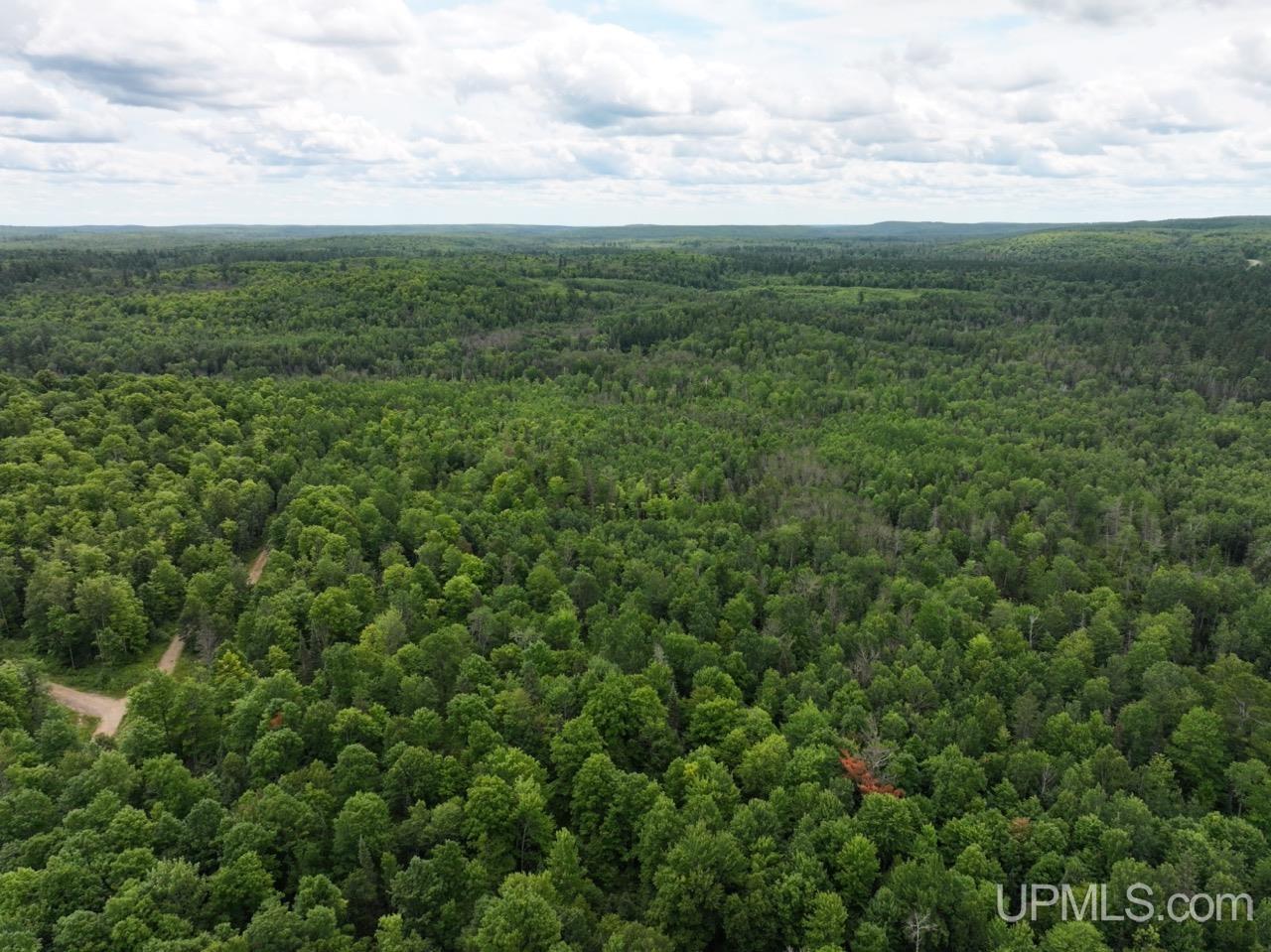 94-acres Off Bates Amasa Road Crystal Falls, MI 49920 - Photo 17 of 38