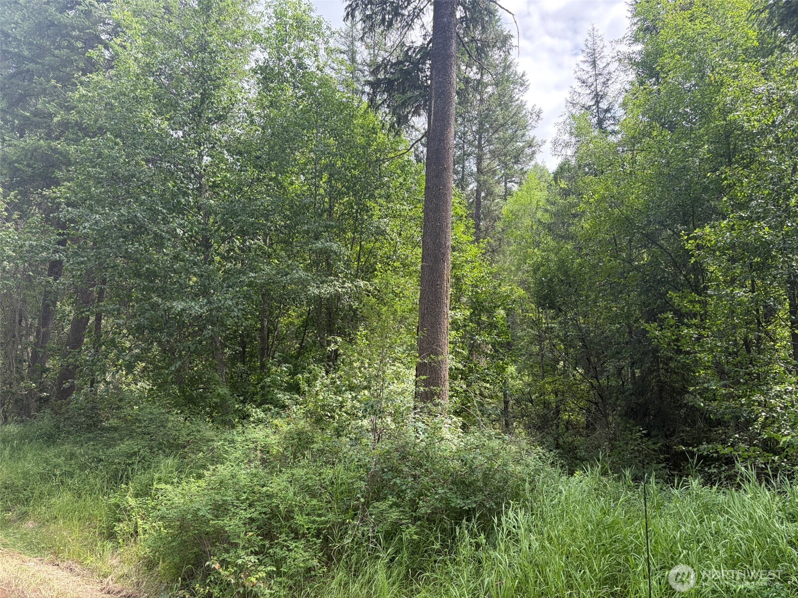 111-tbd Lambert Creek Road Republic, WA 99166 - Photo 2 of 2