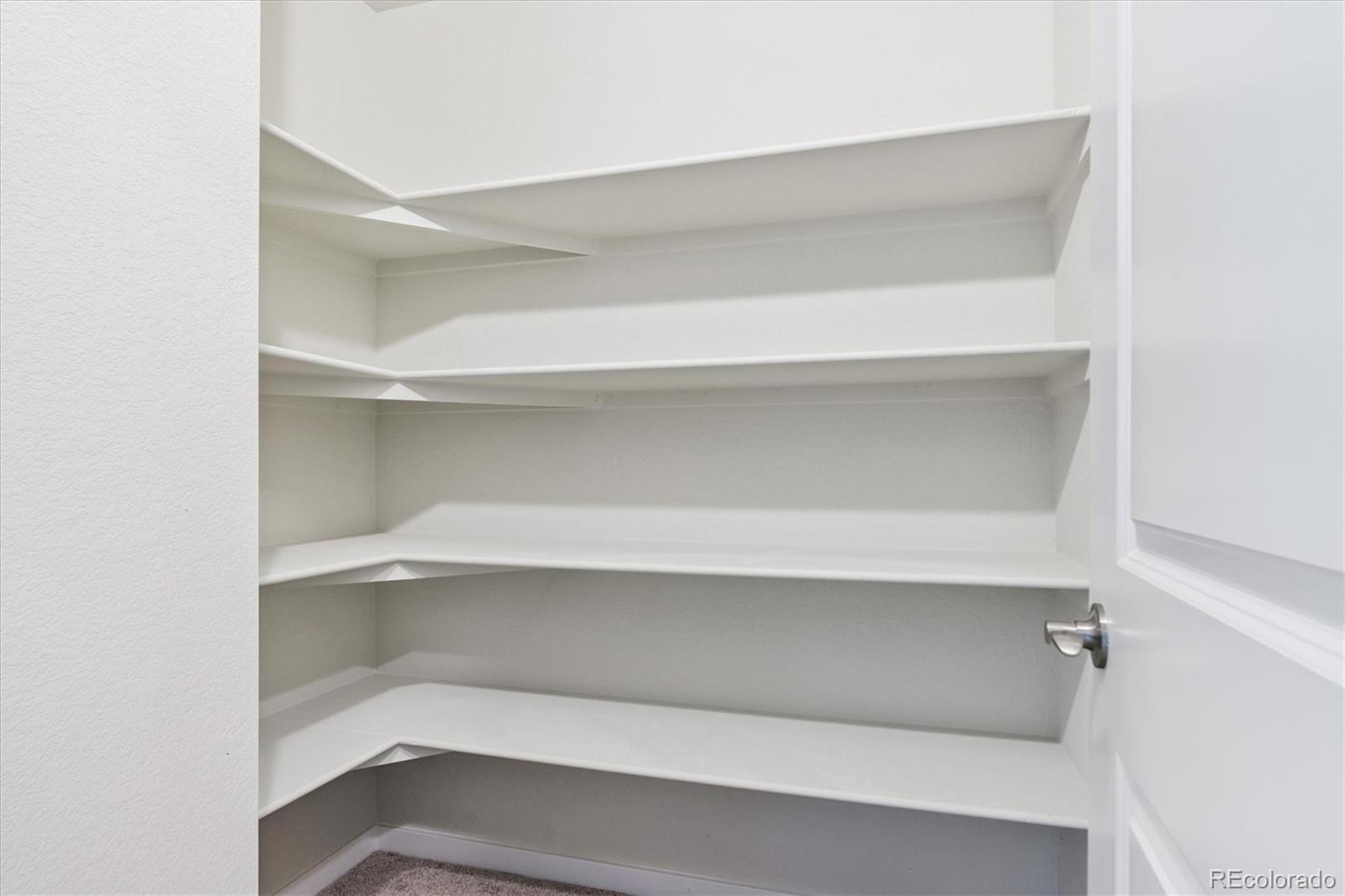 4235 Gozzer Ranch Drive Elizabeth, CO 80107 - Photo 11 of 23 a view of an empty walk in closet