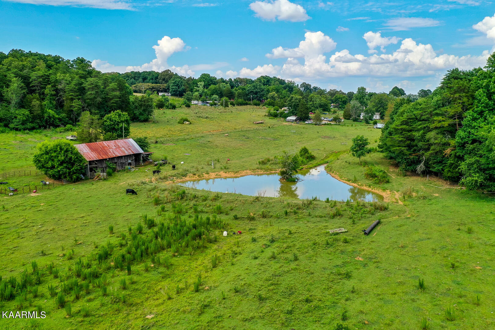 North Trigonia Road Greenback, TN 37742 - Photo 2 of 14 Pond and old barn