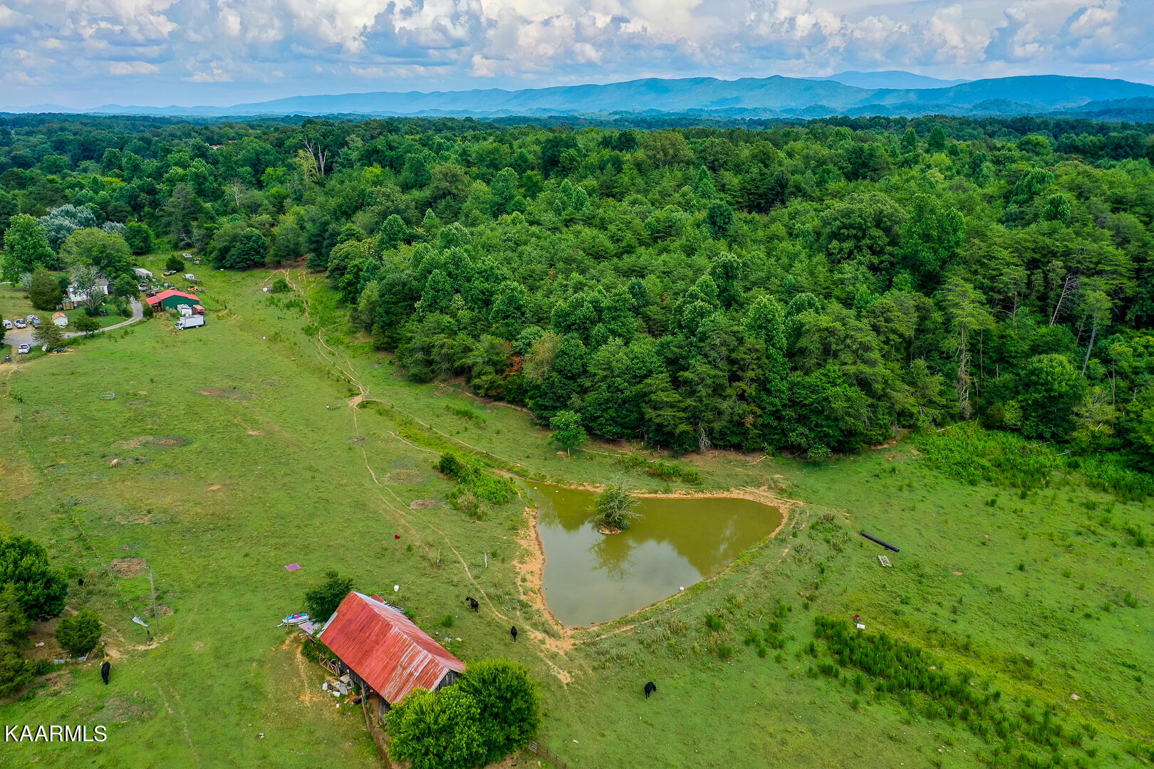 North Trigonia Road Greenback, TN 37742 - Photo 4 of 14 Drone over the pond w back property
