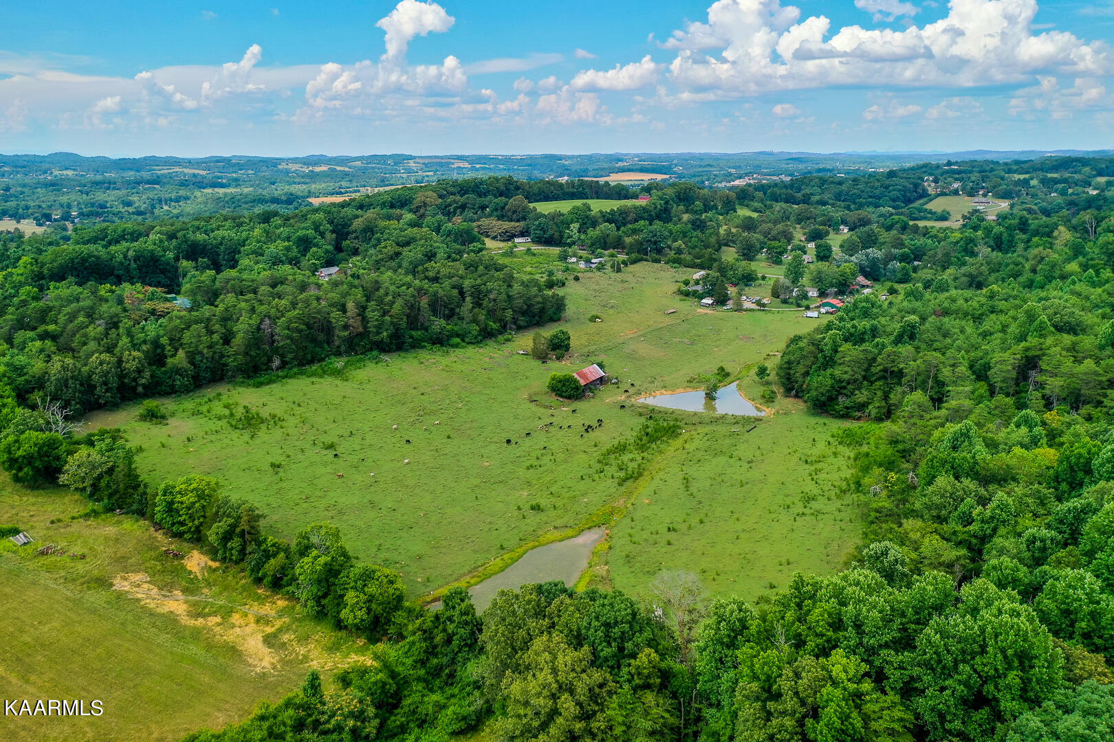 North Trigonia Road Greenback, TN 37742 - Photo 7 of 14 From the upper right back side
