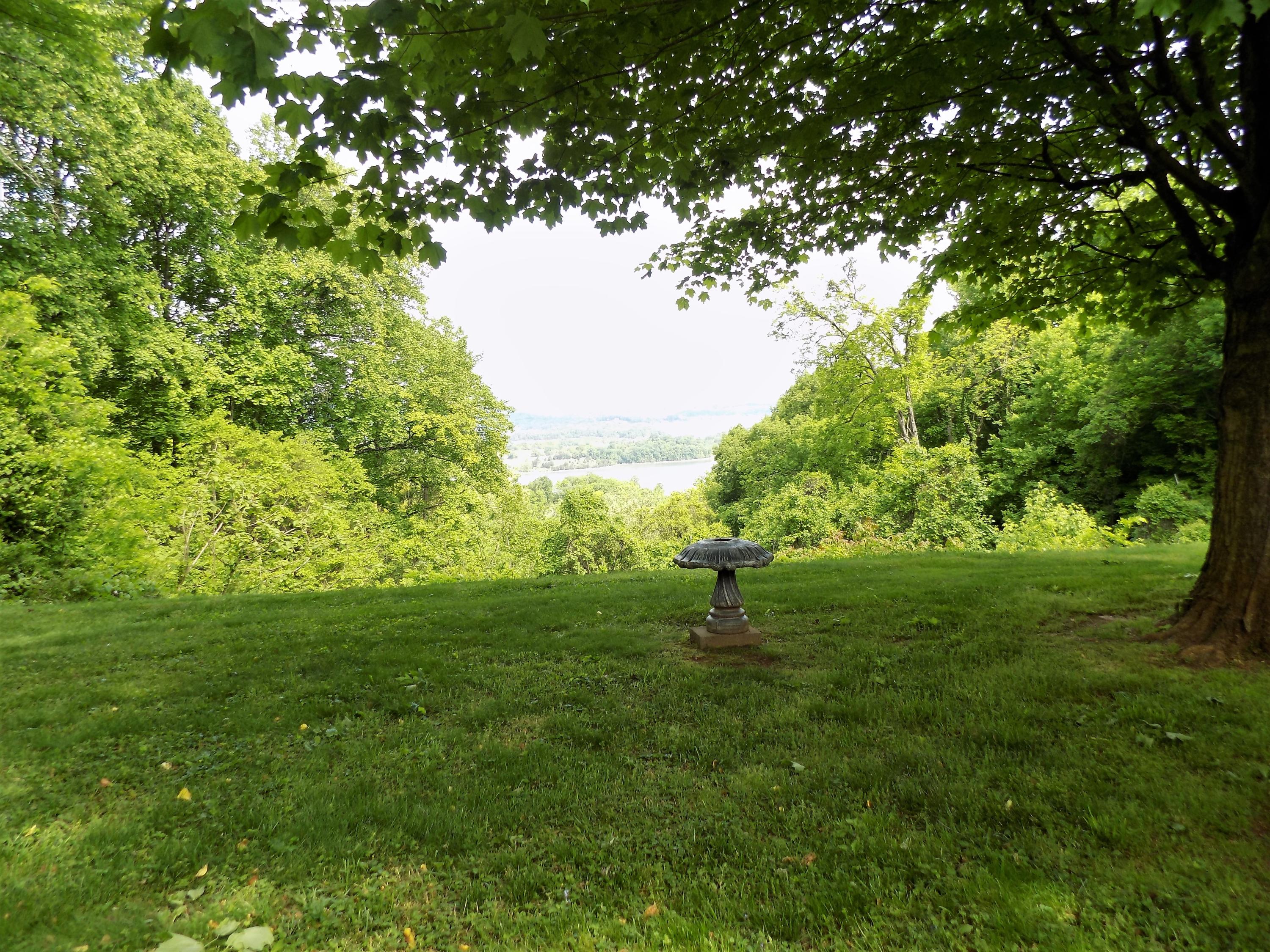 1637 Boatmans Ridge Road Morristown, TN 37814 - Photo 9 of 40 Back Yard View