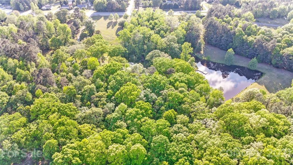 2579 Anderson Road South Catawba, SC 29704 - Photo 3 of 47 a view of a garden with a tree
