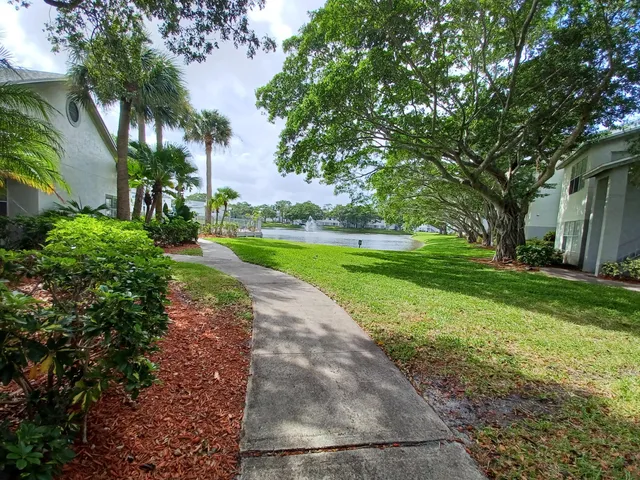 a view of a park with large trees