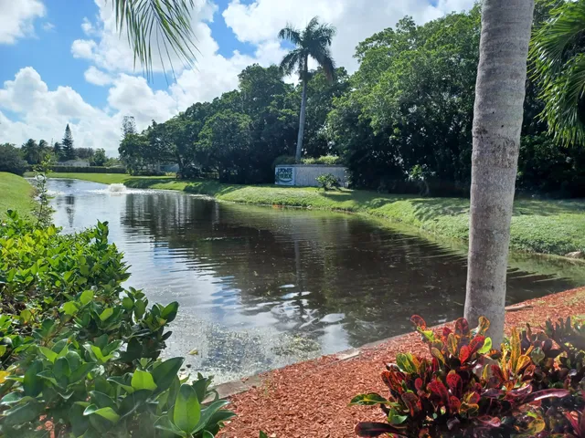 a view of a lake from a yard