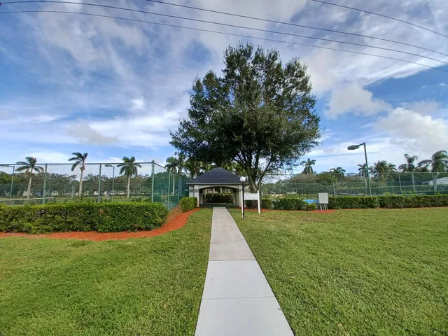 a view of a park with large trees