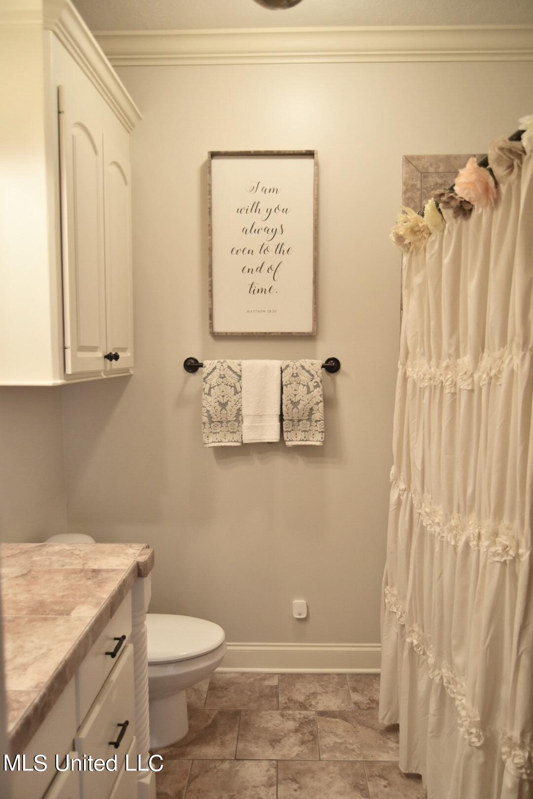 547 Turtle Lane Brandon, MS 39047 - Photo 42 of 45 Guest Bathroom