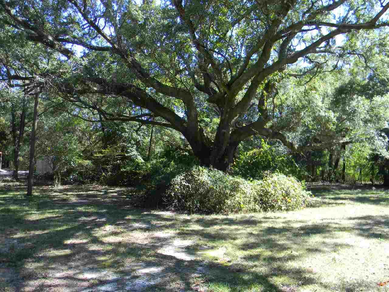 2177 East Olive Road Pensacola, FL 32514 - Photo 9 of 14 Gallery Image 9