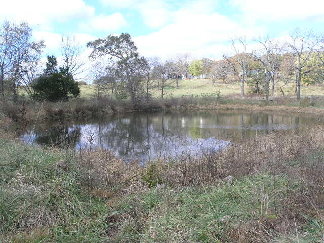 144 County Road North Mountain Grove, MO 65711 - Photo 1 of 1 HN2353-pond 2 close up