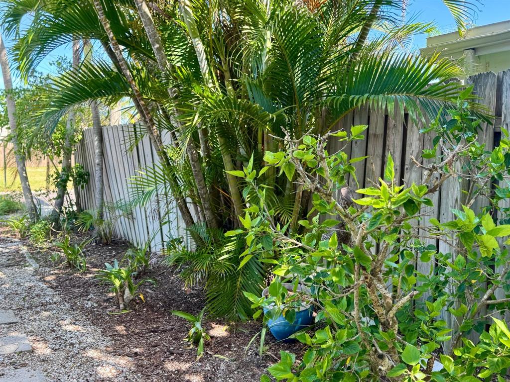 202 12th Avenue Indian Rocks Beach, FL 33785 - Photo 14 of 16