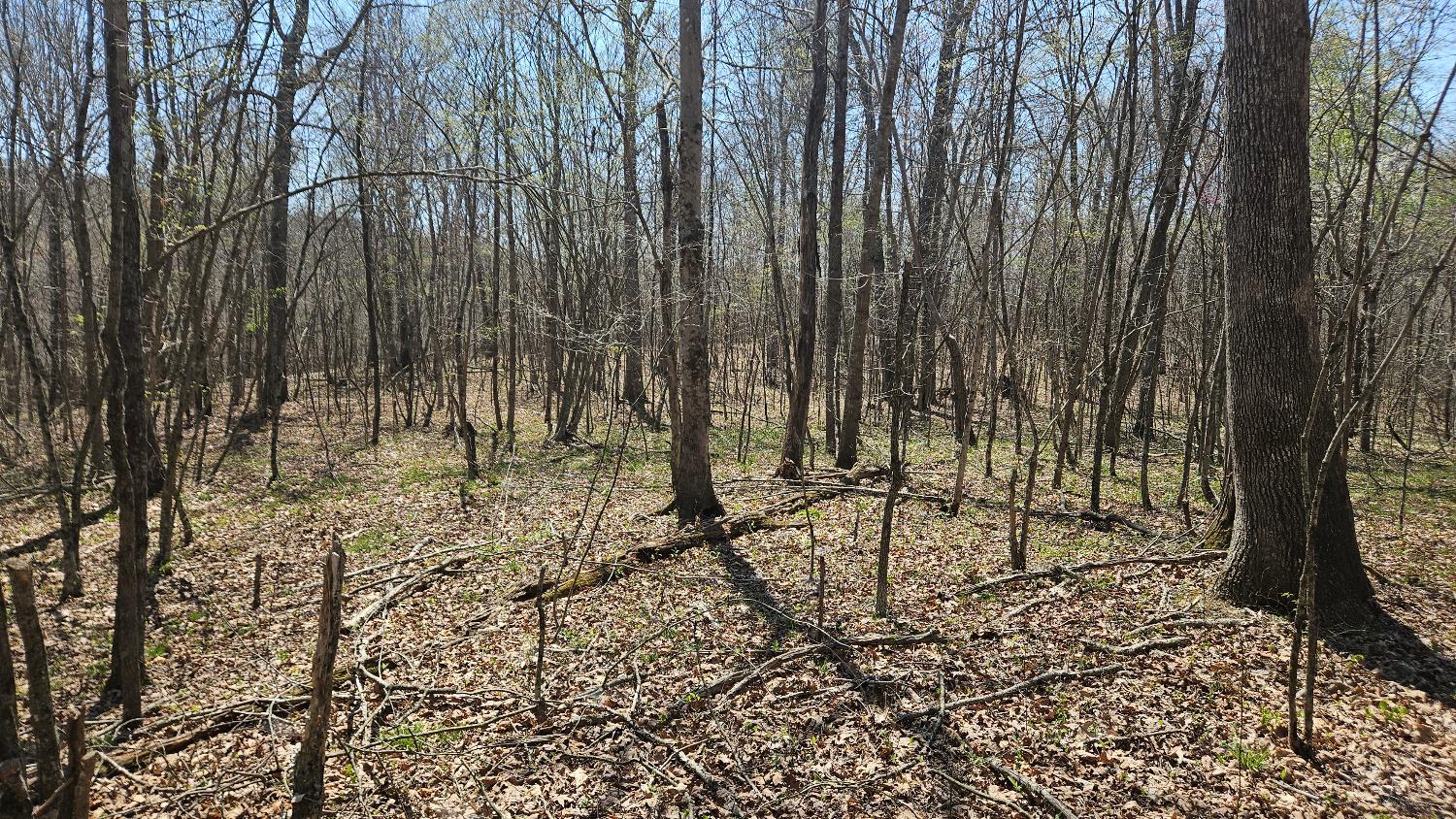 0 Spruce Hollow Road South Webster, OH 45682 - Photo 24 of 54