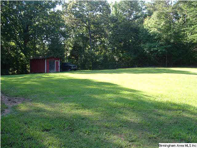 55 Carroll Road Wilsonville, AL 35186 - Photo 3 of 15
