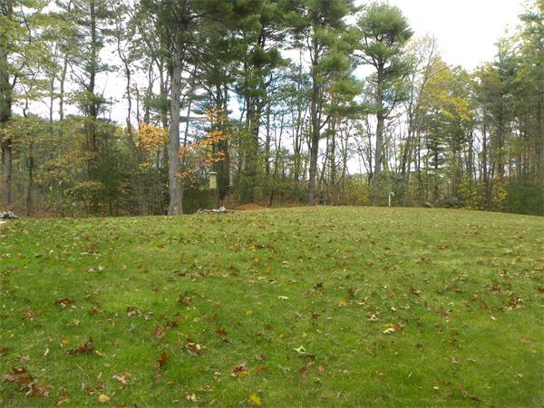58 Baker Pond Road Dudley, MA 01571 - Photo 3 of 29 a view of a field with trees in the background