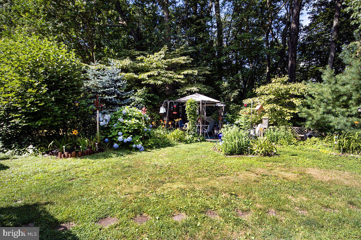 11 Meehan Boulevard Clementon, NJ 08021 - Photo 49 of 50 Plenty of gardening: Things always in Bloom