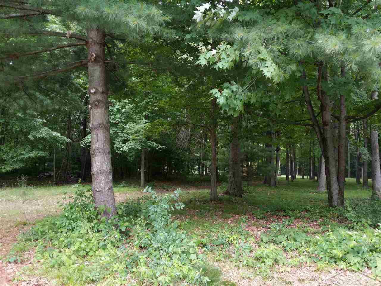 12996 Dice Road Freeland, MI 48623 - Photo 2 of 2