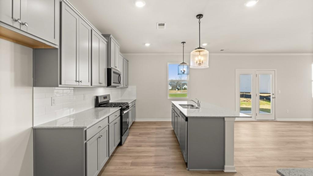 703 Anchor Avenue Villa Rica, GA 30180 - Photo 11 of 32 a kitchen with granite countertop cabinets a sink a window and stainless steel appliances