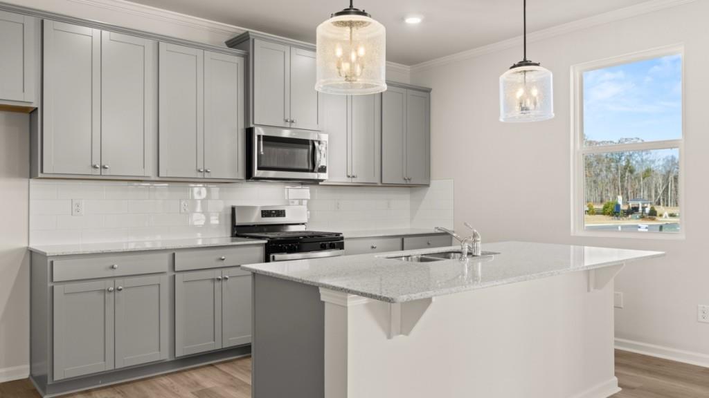 703 Anchor Avenue Villa Rica, GA 30180 - Photo 9 of 32 a kitchen with stainless steel appliances granite countertop a sink a microwave oven a stove and white cabinets with wooden floor