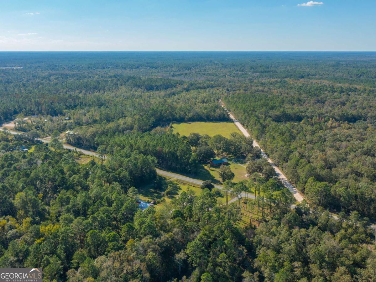 43 Dutch Road Hortense, GA 31543 - Photo 2 of 50