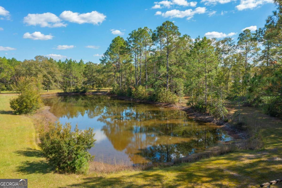 43 Dutch Road Hortense, GA 31543 - Photo 30 of 50