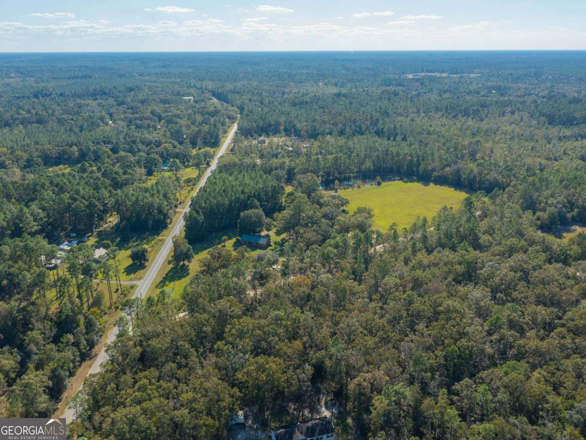 43 Dutch Road Hortense, GA 31543 - Photo 3 of 50